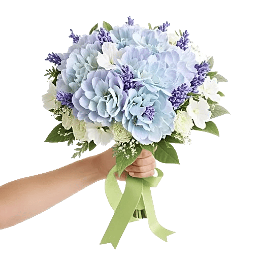 Serene Petal Harmony