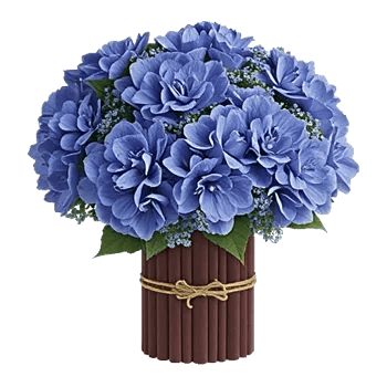 Sapphire Bloom Whisper