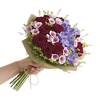 Delicate Petal Cascade