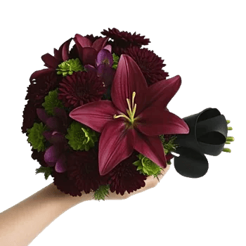 Deep Red Foliage
