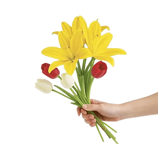 Graceful Lily Display