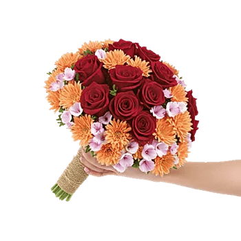 Crimson Rose Elegance