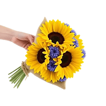 Twinkling Sunflower Dance
