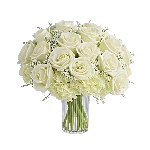 Ivory Blossom Radiance