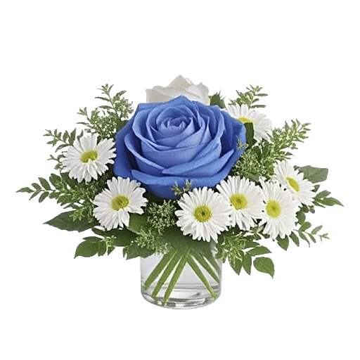 Elegant Blue Roses