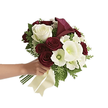 Ivory Garden Grace