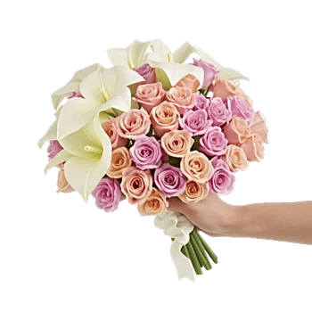 Elegant Calla Lilies