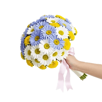 Delicate Petal Cascade