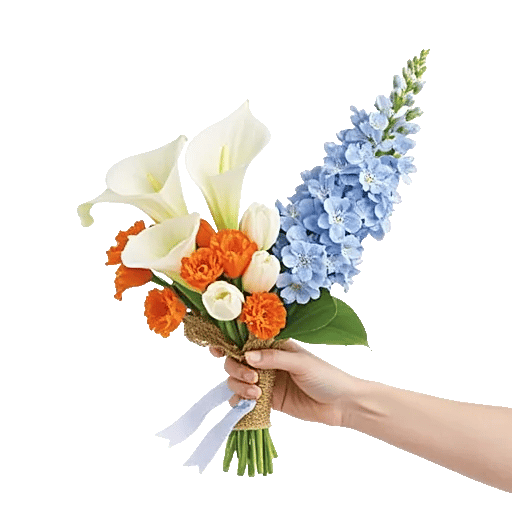 Elegant Calla Lilies