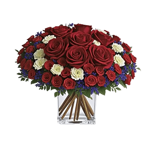 Radiant Rose Symphony