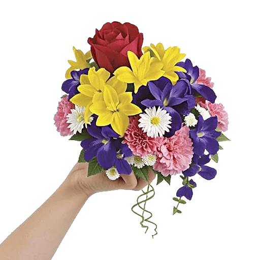 Crimson Rose Elegance