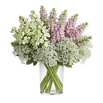 Ivory Blossom Radiance