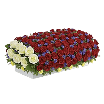 Delicate Petal Cascade