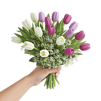 Velvet Tulip Display