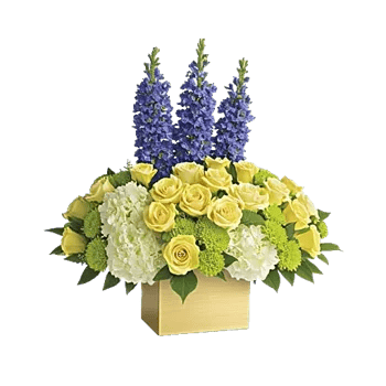 Ivory Blossom Radiance