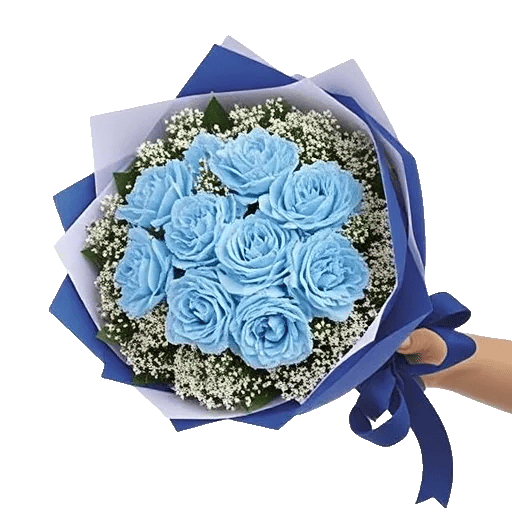 Elegant Blue Roses