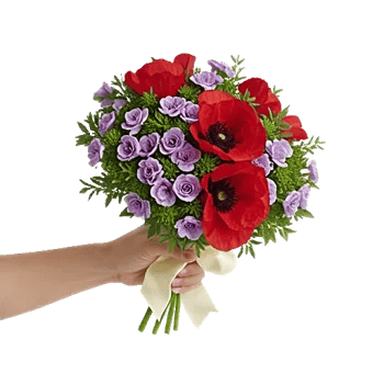Petal Grace Harmony