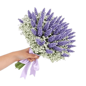 Rosemary Bloom Elegance