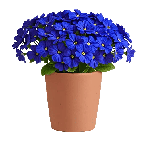 Petal Radiance Bliss