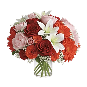 Petal Radiance Bliss