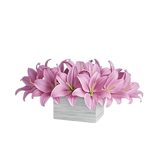 Graceful Lily Display