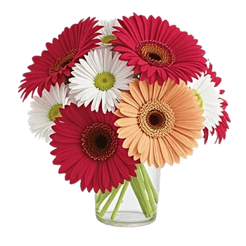 Petal Radiance Bliss