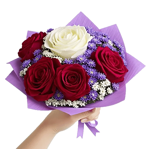 Crimson Rose Elegance