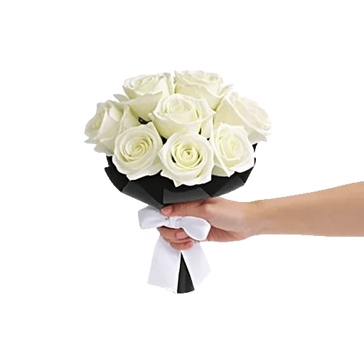 Ivory Garden Grace