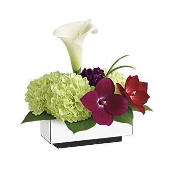 Modern White Orchids
