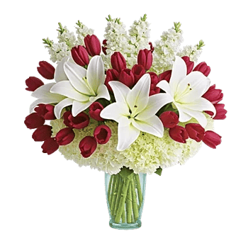 Graceful Lily Display