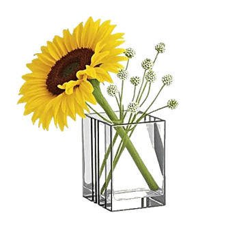 Radiant Bloom Cascade