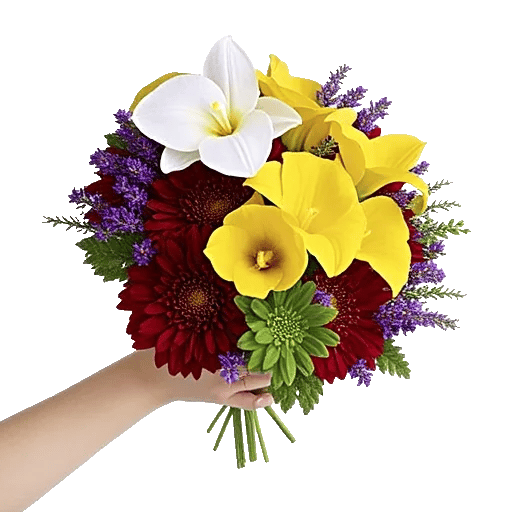 Modern White Orchids