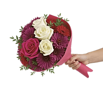 Crimson Rose Elegance