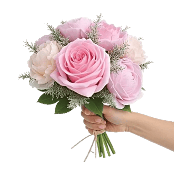 Pastel Pink Roses