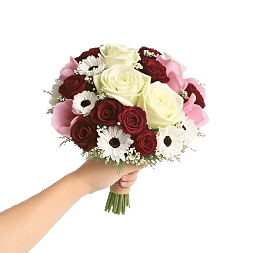 Delicate Petal Cascade