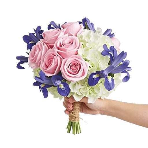 Serene Petal Harmony