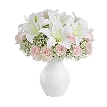 Ivory Blossom Radiance