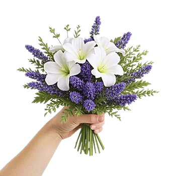 Ivory Blossom Radiance