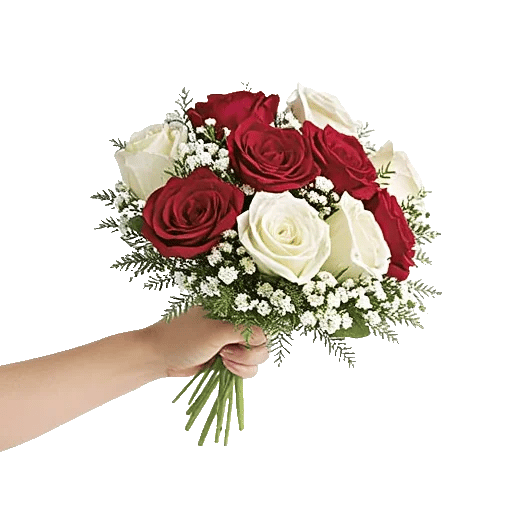 Crimson Rose Elegance