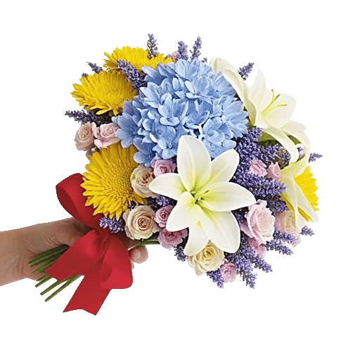 Serene Petal Harmony