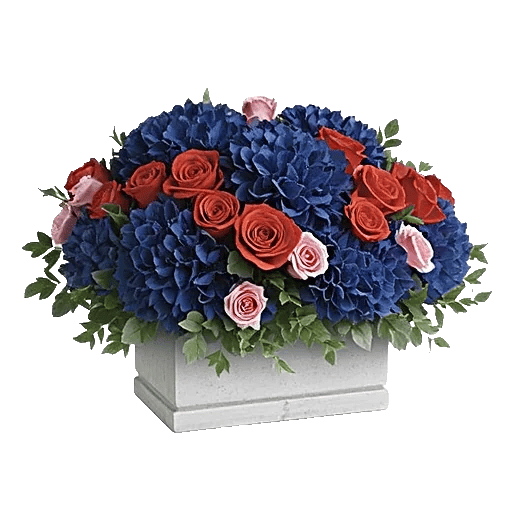 Sapphire Bloom Whisper