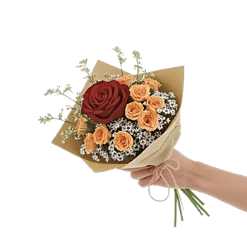 Crimson Rose Elegance