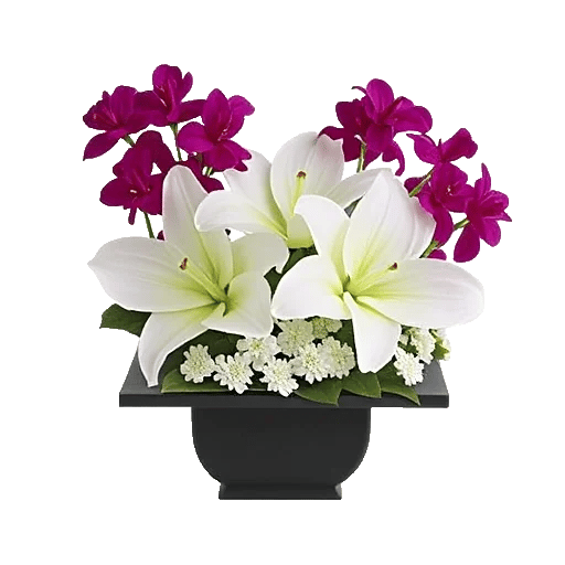 Modern White Orchids