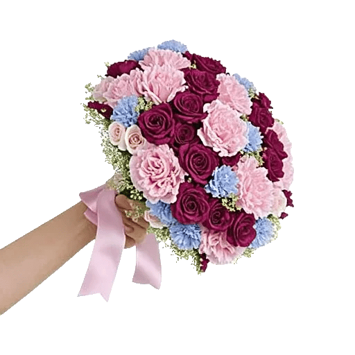 Pastel Pink Roses