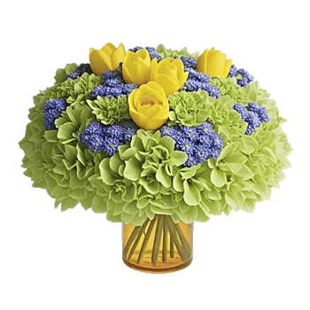 Petal Radiance Bliss