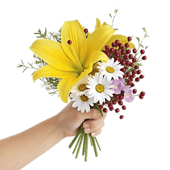 Blossom Harmony Display