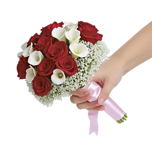 Blushing Rose Symphony