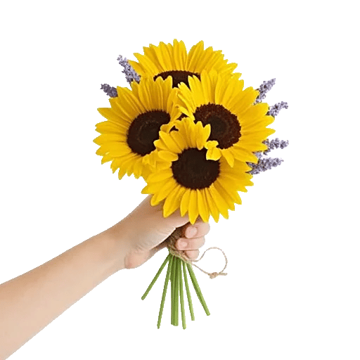 Twinkling Sunflower Dance