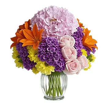 Ivory Blossom Radiance