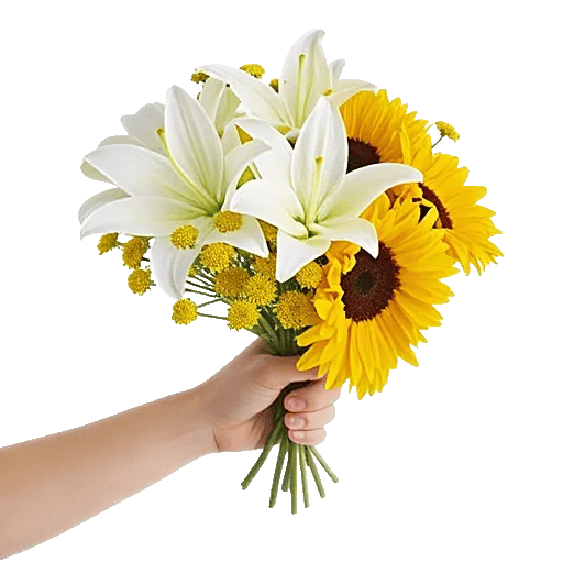 Blossom Harmony Display